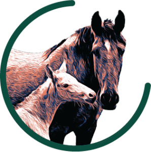 Icône représentant une pouliche qui vient chercher le contact du nez de sa mère, pour illustrer le Domaine de Sirius.