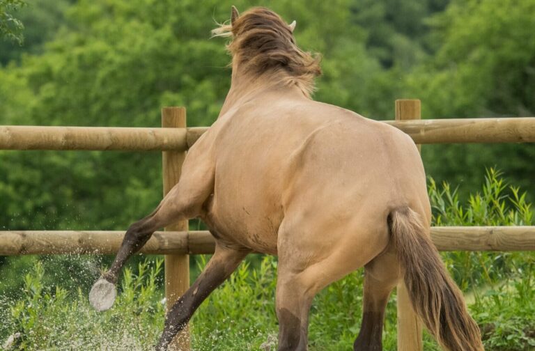 Etalon PSL double pearl, de dos, dans un mouvement gracieux.