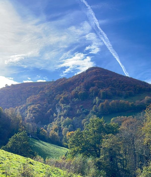 Photo des montagnes de hautes pyrénées prise du Domaine de Sirius